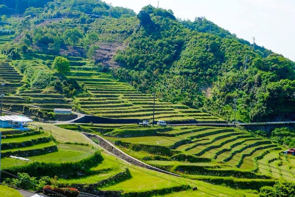 和歌山県那智勝浦町・色川の棚田