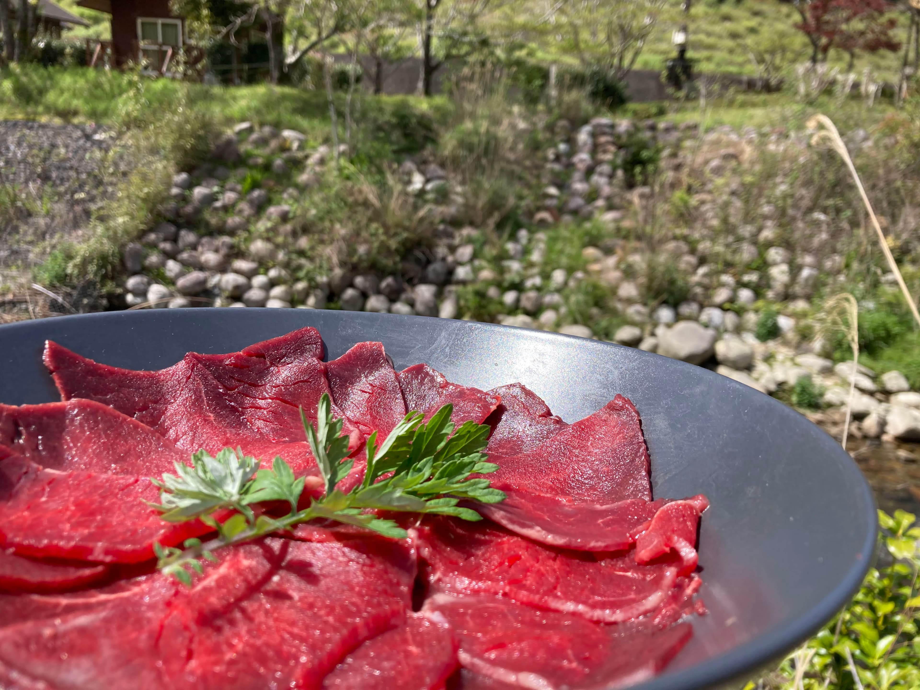 春の屋外、スライスした鹿肉の皿